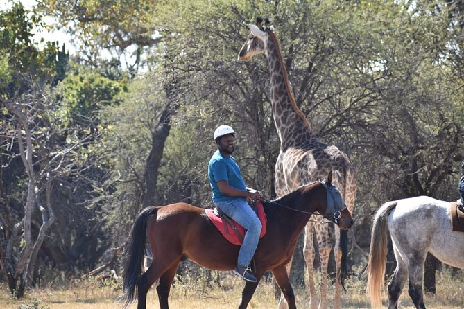 Harties Horse Trail Safari Half day - Why horseback safari feels different