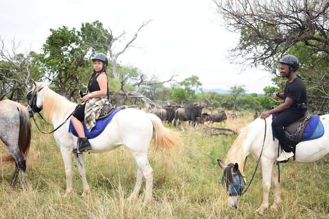 Harties Horse Trail Safari Half day - Is $106.96 a fair price?