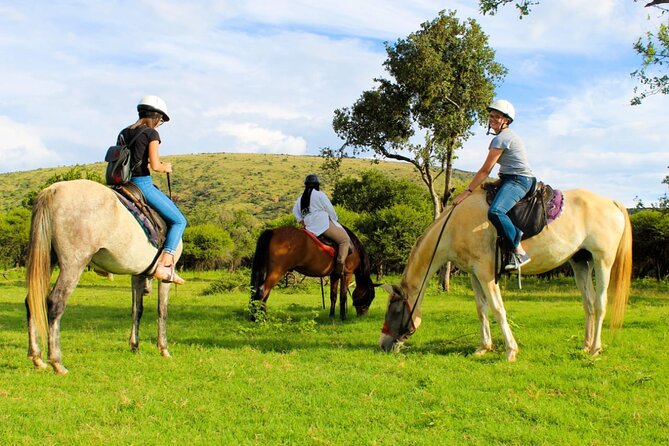 Harties Horse Trail Safari Half day - Who will enjoy this most