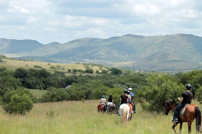 Harties Horse Trail Safari Half day - Getting ready for your first ride