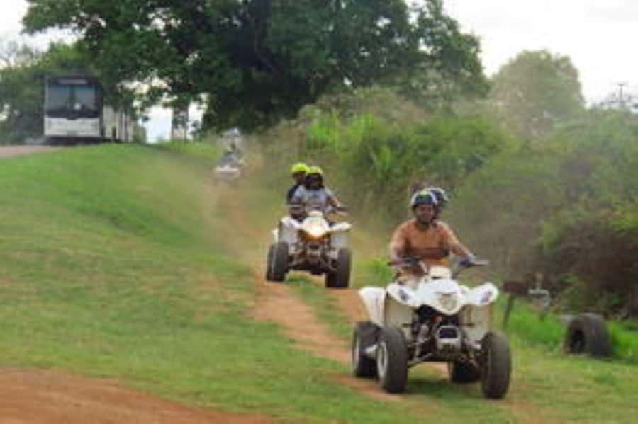 Hazyview: Guided Macadamia Plantation and Forest Quad Safari - Crossing the macadamia plantation