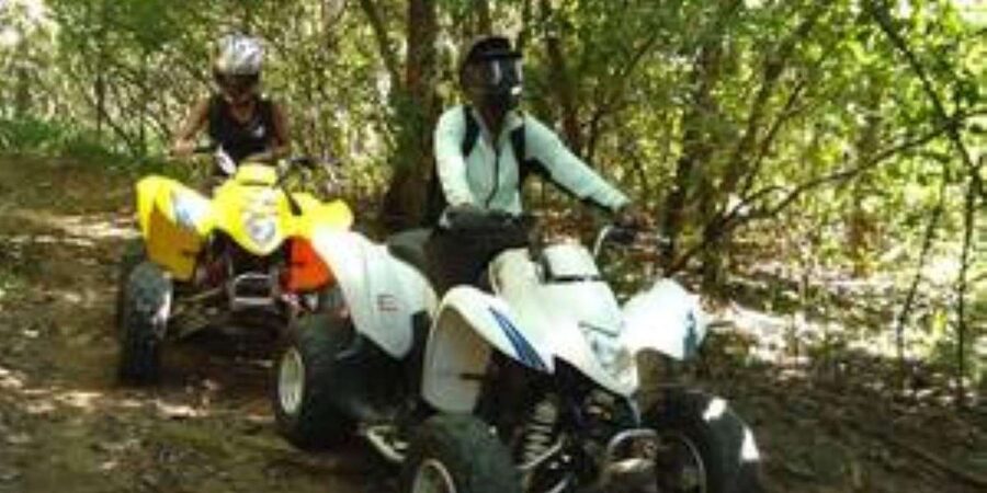 Hazyview: Guided Macadamia Plantation and Forest Quad Safari - What one hour really gives you