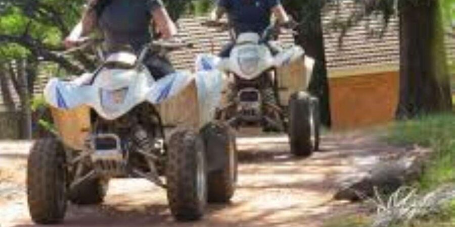 Hazyview: Guided Macadamia Plantation and Forest Quad Safari - Is $48 a fair price?