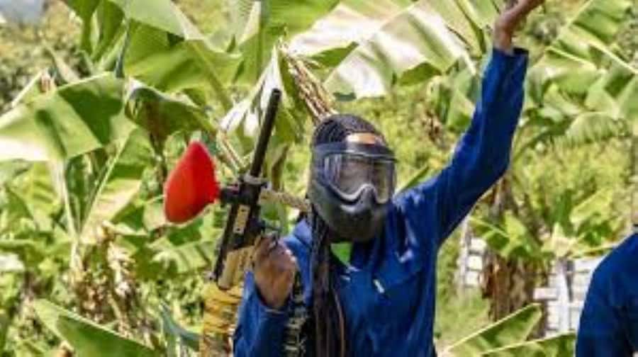 Hazyview : Paintball Target Shooting - Quick points before you book