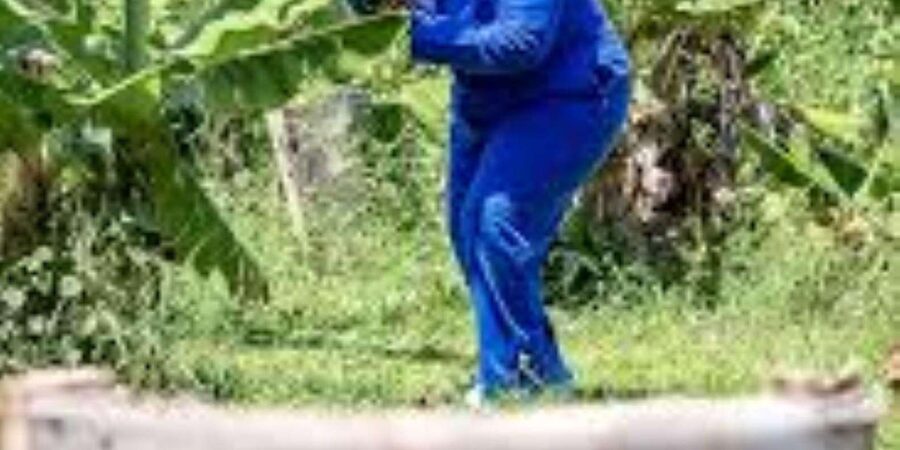 Hazyview : Paintball Target Shooting - Three targets at 20 metres: setting the right expectation