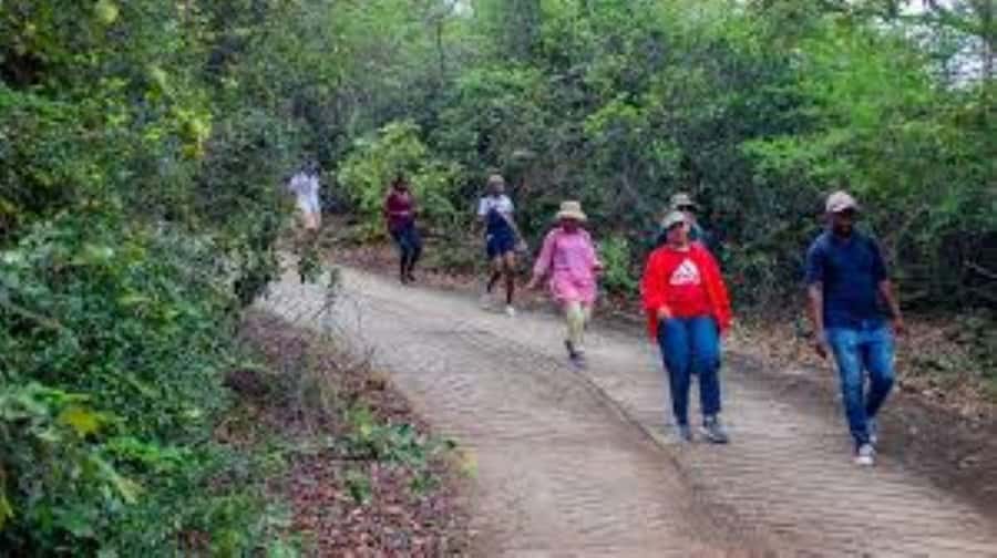 Hazyview : Sabie River Hiking Trail 12km - The Sabie River hike at a glance