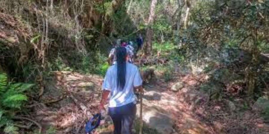 Hazyview : Sabie River Hiking Trail 12km - How much value do you get for $11?