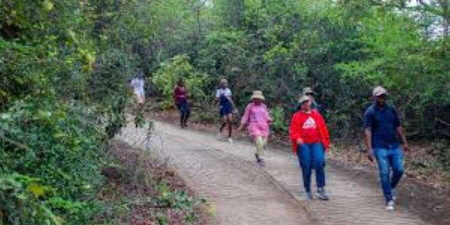 Hazyview : Sabie River Hiking Trail 12km - Timing, flexibility, and practical booking points