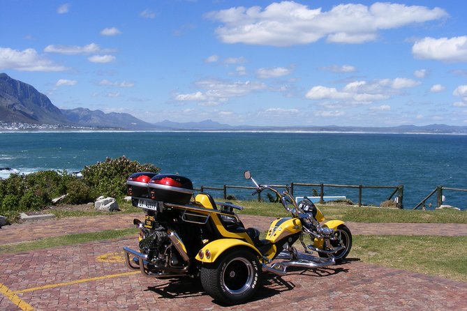 Hermanus and Whale Route Trike Tour from Cape Town - Key points to know before booking