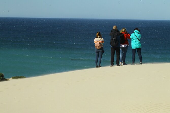 Hermanus Land based Whale Tour with Dave de Beer - Dave de Beer’s role in the experience
