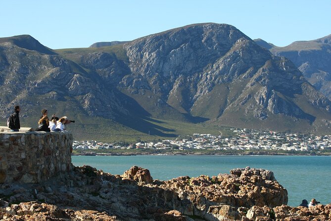 Hermanus Land based Whale Tour with Dave de Beer - Walking the 15-metre-high Hermanus Cliff Path