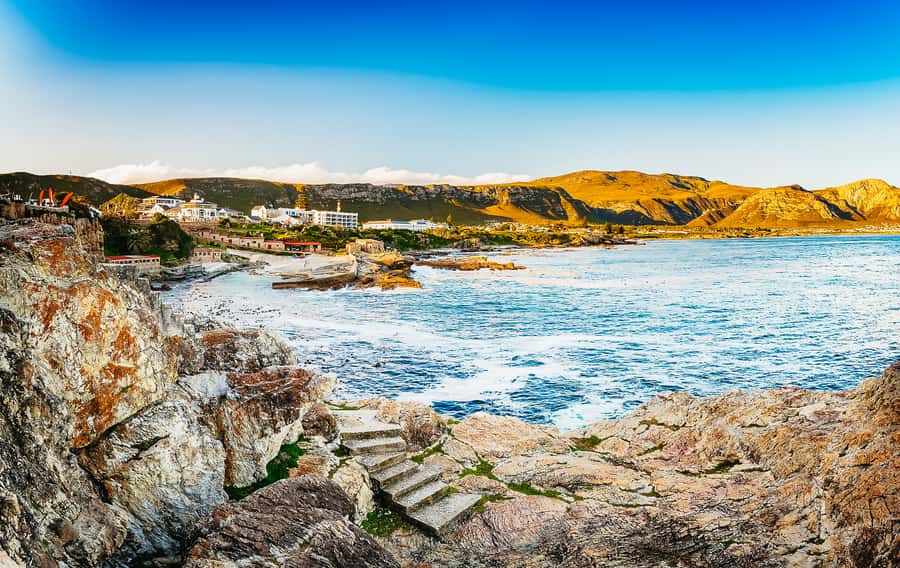 Hermanus: Whale and Dolphin Watching Boat Trip - Bryde’s whales, dolphins, and seals
