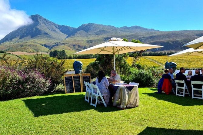 Hermanus Whale Watching and Wine Tasting Private Tour - Stony Point and its African penguin colony