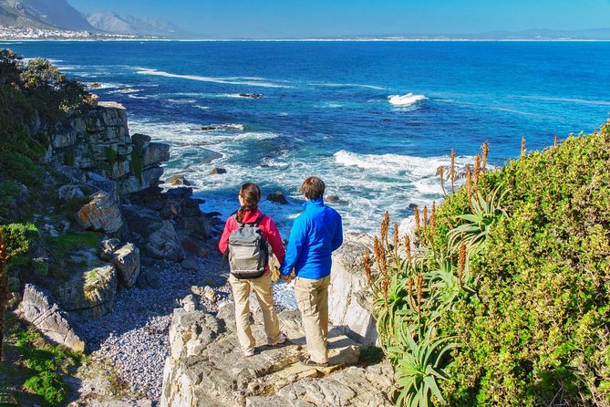 Hermanus Whale Watching Day Trip from Cape Town - Watching whales from Hermanus shore