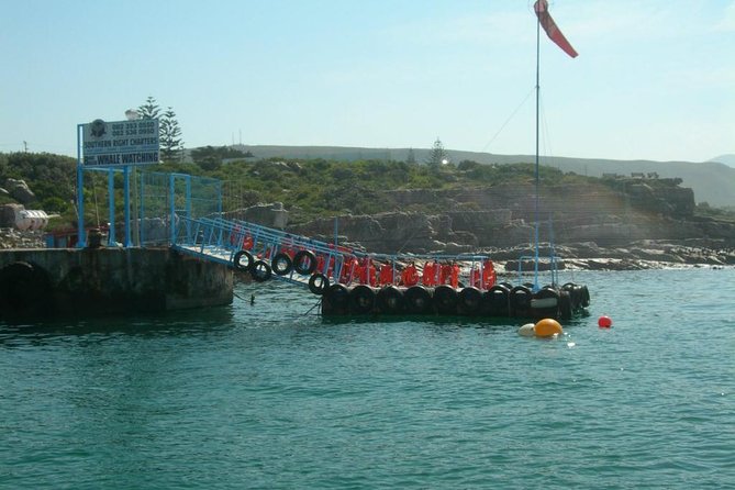 Hermanus Whale Watching & Penguins Shared Tour from Cape Town - The drive from Cape Town to New Harbour