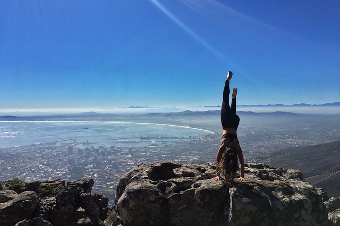 Hike Table Mountain or Lions Head in Cape Town Like a Local - Is the $22.95 price good value?