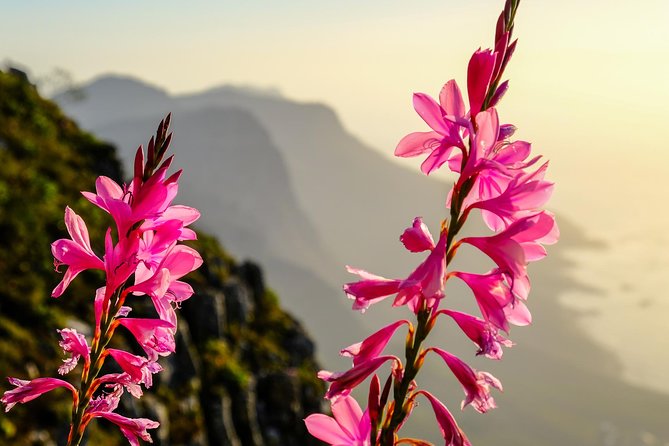 Hike Table Mountain via the India Venster trail - What India Venster asks of you
