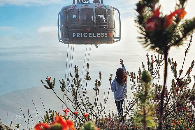 Hike Table Mountain with a Guide - Choose Route - What your guide adds beyond route finding