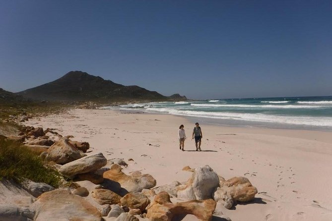 Hiking Cape of Good hope, Cape Point & Penguins Private Full Day - A quick stop at the Cape Point Ostrich Farm
