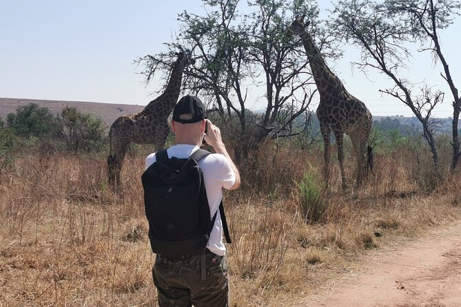 Hiking In the Magaliesberg,Wildlife hike an hour fromJohannesburg - Key points to know before you book
