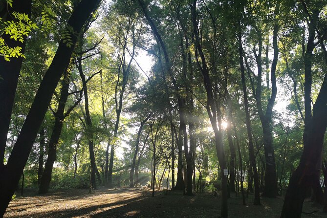 Hiking In the Magaliesberg,Wildlife hike an hour fromJohannesburg - What the private price includes