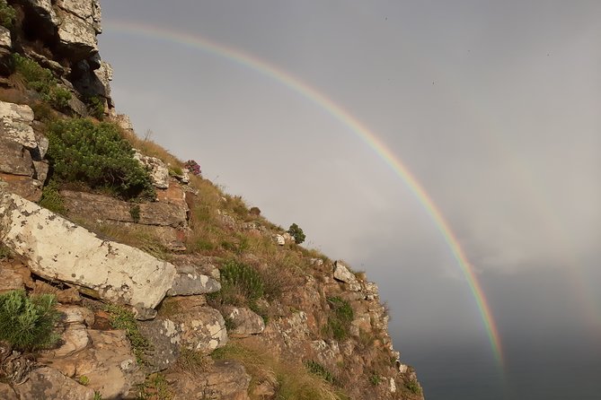 Hiking Lion's Head for sunrise, coffee & hotel Pick-up & Drop off - How the guide affects the experience