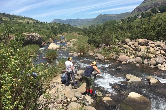 Hiking Tour to Drakensberg Mountains South Africa - Day 3: An easy walk back to the hotel