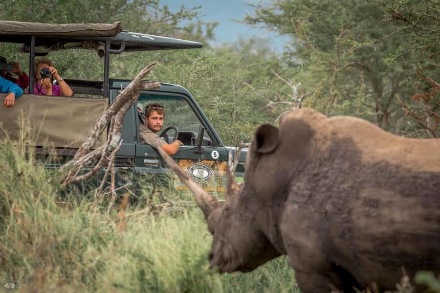 Hluhluwe-Imfolozi: Big 5 Full or Half-Day Safari - Reading the Park With an Experienced Ranger