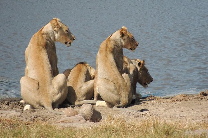 Hluhluwe/iMfolozi Game Reserve Full Day Game Drive - Why Hluhluwe-iMfolozi makes a strong day trip