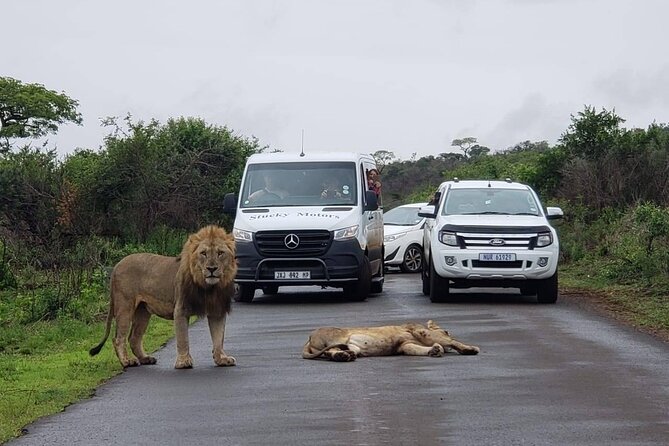 Hluhluwe Imfolozi Park And Isimangaliso Wetlands Park .st Lucia - Why this Durban day trip works