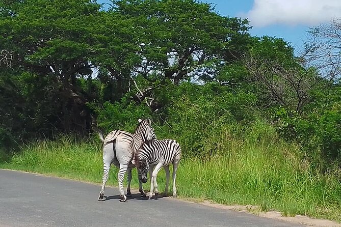 Hluhluwe Imfolozi Park And Isimangaliso Wetlands Park .st Lucia - What you may see, and what you may miss