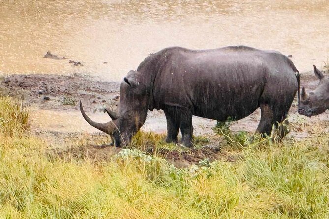 Hluhluwe Imfolozi Park Excursion - The 90-minute road to Hluhluwe iMfolozi Park
