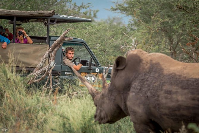 Hluhluwe-Imfolozi Park Full Day Big 5 Safari Tour - Key points at a glance
