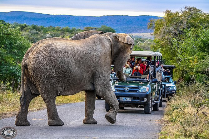 Hluhluwe-Imfolozi Park Full Day Big 5 Safari Tour - A full day among Africa’s Big Five