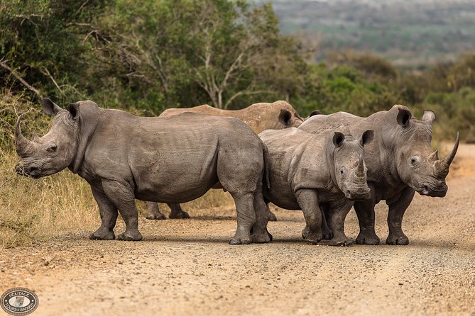 Hluhluwe-Imfolozi Park Full Day Big 5 Safari Tour - The ranger makes the difference