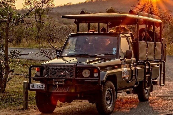 Hluhluwe-Imfolozi Park Half-day Big Five Safari Adventure - Key points to know before booking