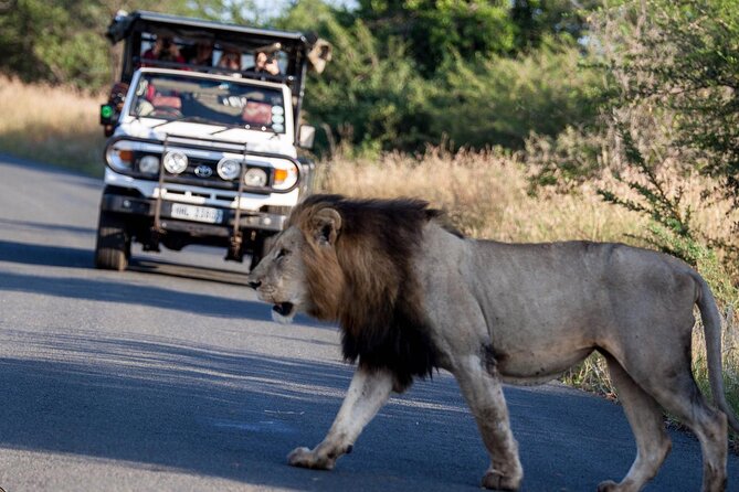 Hluhluwe-Imfolozi Park Half-day Big Five Safari Adventure - Who should book this half-day safari