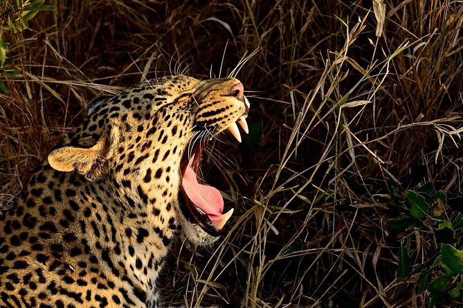 Hluhluwe Imfolozi Safari Day Tour from Durban - Entering South Africa’s oldest game reserve