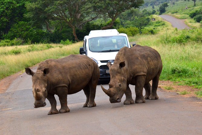 Hluhluwe Imfolozi Safari & St Lucia Boat Safari Day Tour from Durban - St Lucia Estuary: two hours on the water