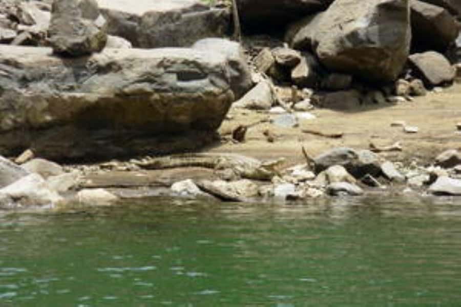 Hoedspruit: Blyde River Canyon Dam Boat Cruise - Key points at a glance