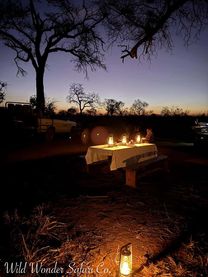 Hoedspruit: Dinner in the Bush & Safari Game Drive - What wildlife sightings are really worth expecting