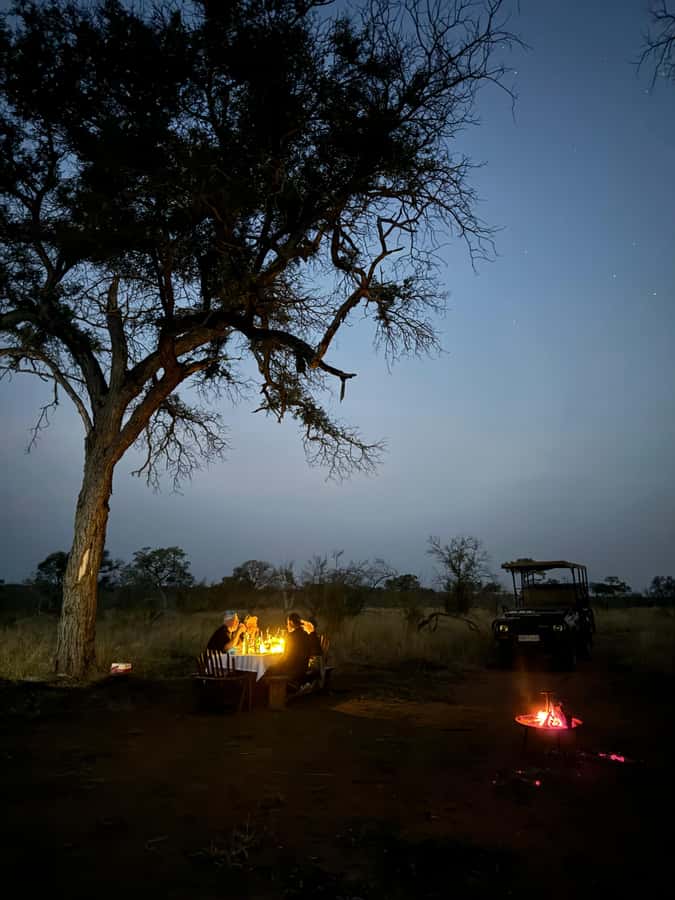 Hoedspruit: Dinner in the Bush & Safari Game Drive - How the $171 price measures up