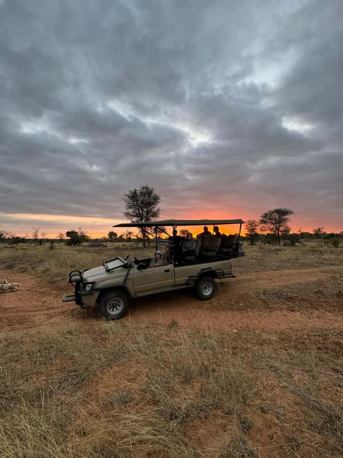 Hoedspruit: Dinner in the Bush & Safari Game Drive - The 2.5-hour game drive through the Greater Kruger