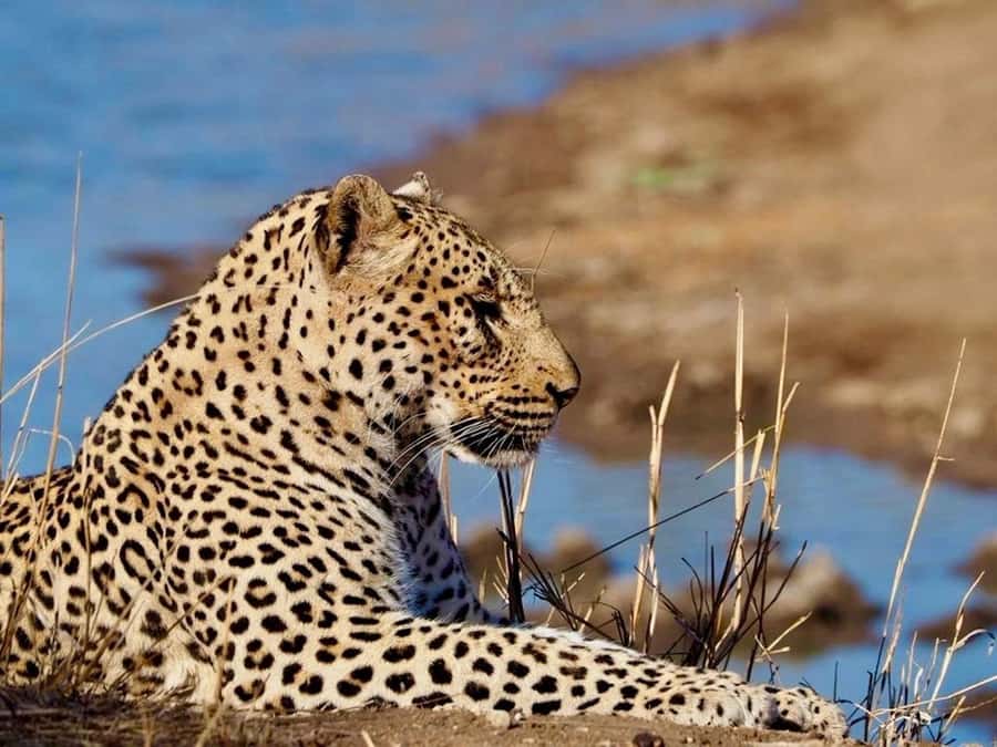 Hoedspruit: Evening Safari In Greater Kruger Private Reserve - Leaving Hoedspruit for the private reserve