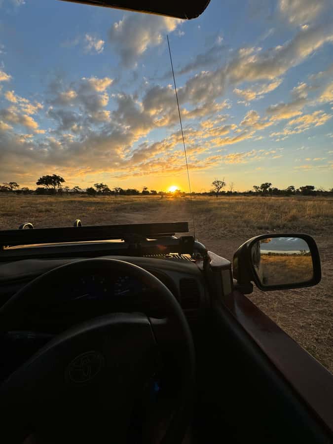 Hoedspruit: Evening Safari In Greater Kruger Private Reserve - The best light arrives late in the drive