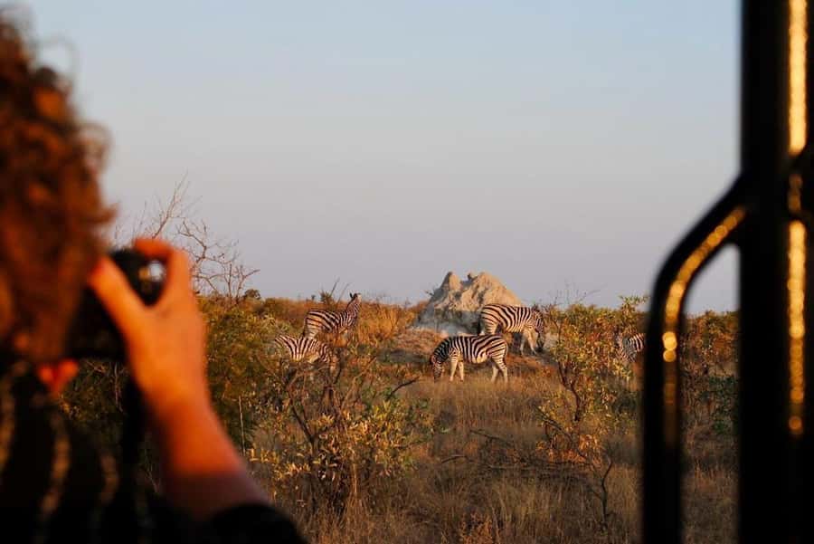 Hoedspruit: Full Day in ICONIC Kruger National Park - Why a full day from Hoedspruit makes sense