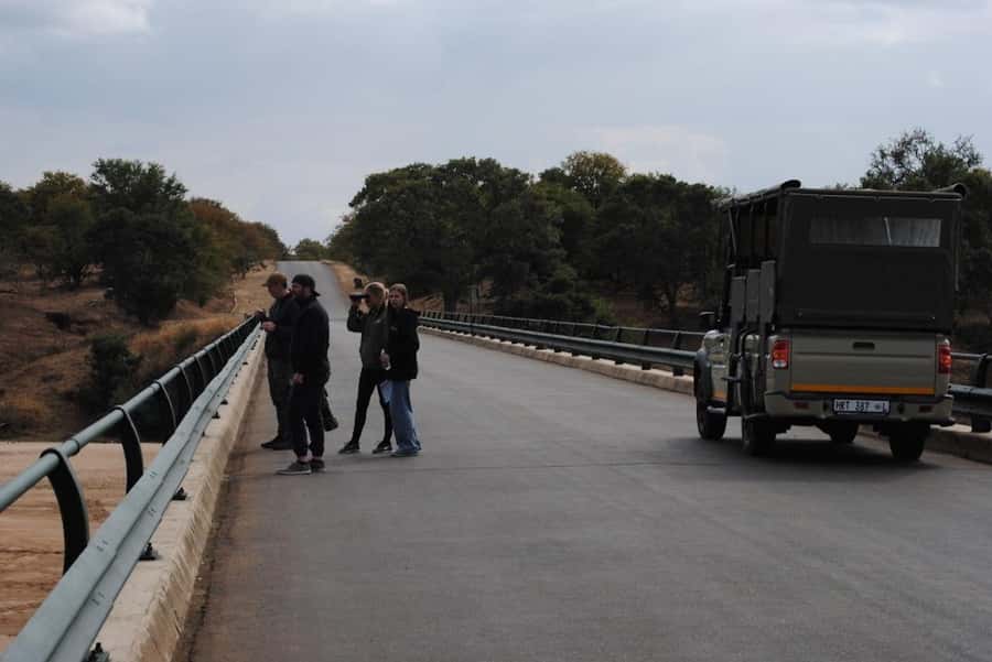 Hoedspruit: Full Day in ICONIC Kruger National Park - Three more hours when the park is warming up