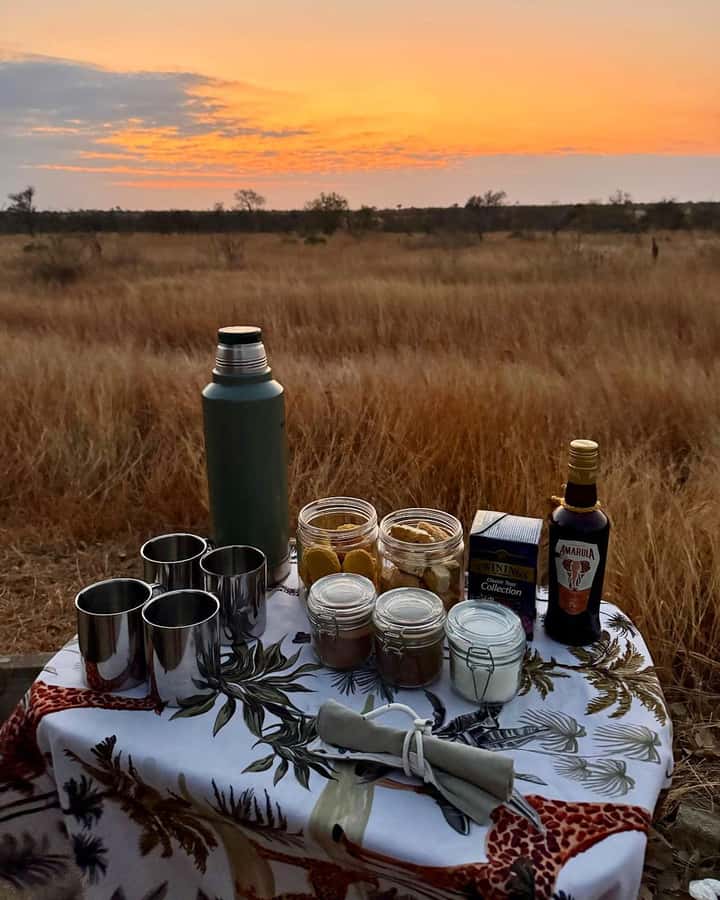 Hoedspruit: Full Day in ICONIC Kruger National Park - The open safari vehicle is part of the experience
