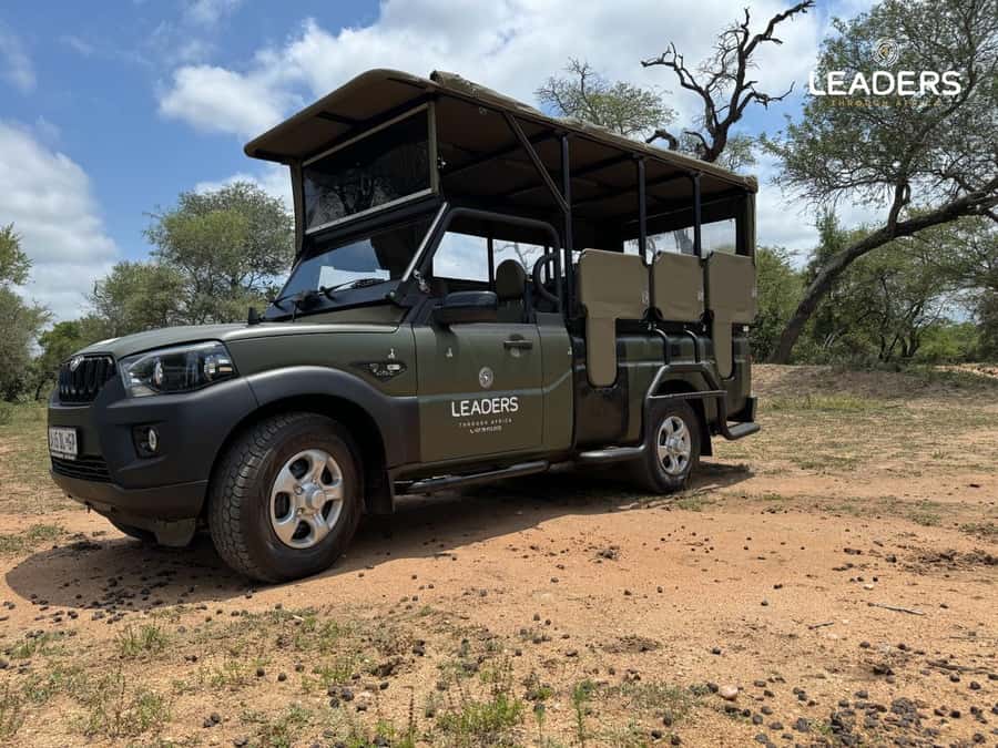 Hoedspruit: Private Kruger National Park Full-Day Safari - Ten hours among Kruger’s wildlife