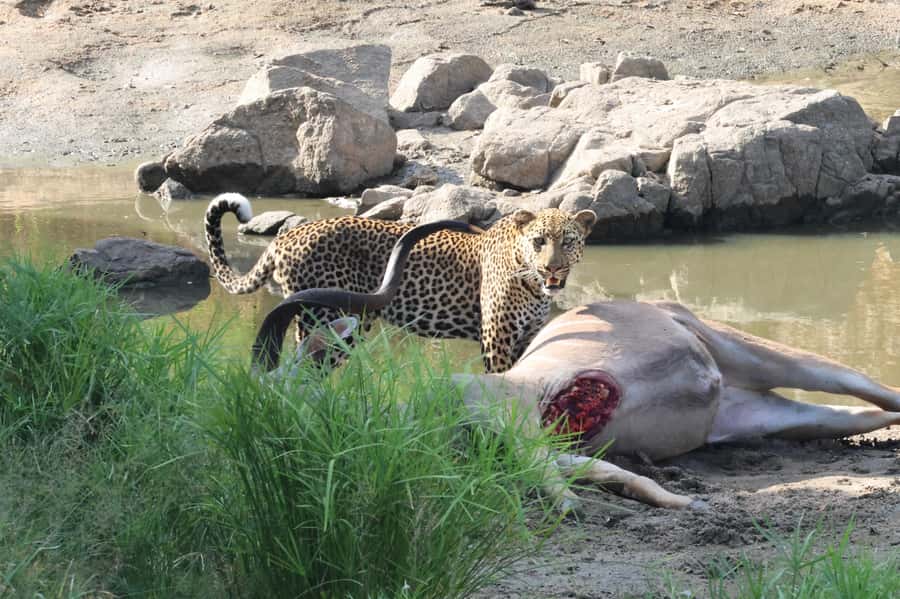 Hoedspruit: Private Kruger National Park Full-Day Safari - Leaving Hoedspruit for the park
